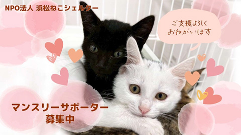 NPO法人 浜松ねこシェルター