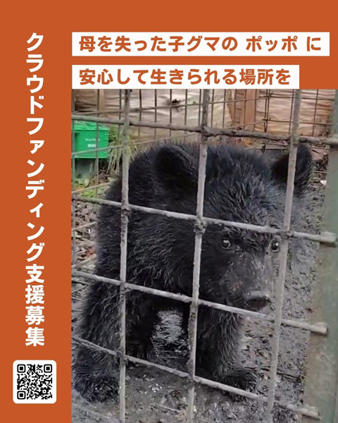 一般財団法人 日本熊森協会