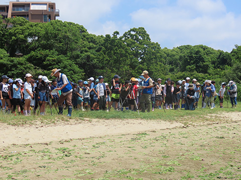 和白干潟を守る会