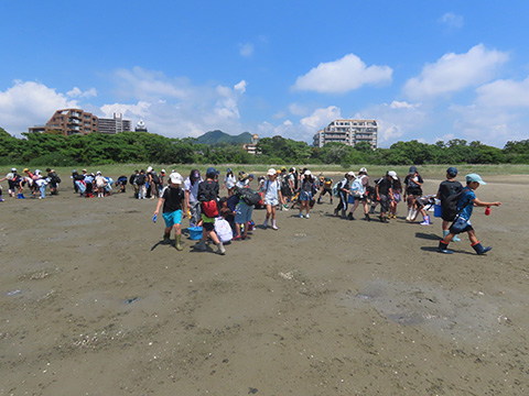和白干潟を守る会