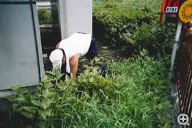 上野駅前公園 草とり 