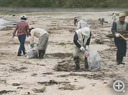 団体会員をはじめ地域住民と都市部住民が協力して、海岸に流れ着いた漂着ごみの回収や草刈りを実施しました。