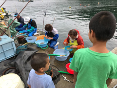 宮城県石巻市でホヤ収穫の見学