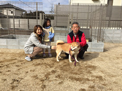 震災後放浪していた犬を保護し、その後飼い主の所へ帰ったところ