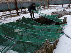 給餌用活魚の防御対策