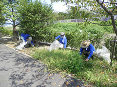 除草作業