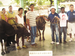先住民ドマガット族に農耕用の水牛4頭を贈る　2007年リハール州の山岳部アピア