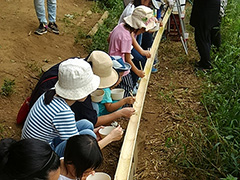 夏の流しそうめん