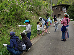 山菜取り体験