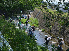 河川美化活動（事業所等協働）