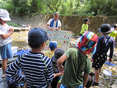 川の生きもの観察会