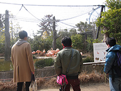 宇部市ときわ公園の動物園を散策している場面です。