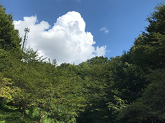 管理している里山の風景