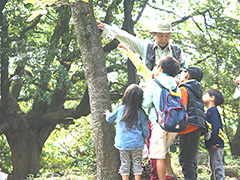 子ども向け自然体験の様子