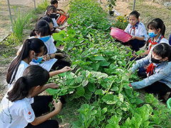 【学校菜園】中学生が学校菜園で育った野菜を収穫し、販売の準備をしている様子。