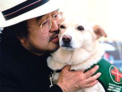 大木代表と名犬チロリ