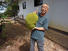 苗木から10年目、初めての収穫（ジャックフルーツ）