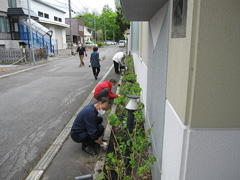 花壇植栽