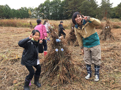 茅ボッチづくりイベント