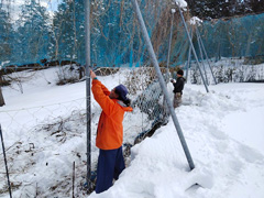 雪害による獣害防止柵の補修