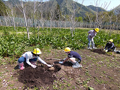 地元小学生の植樹