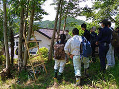 学生の漆掻き見学