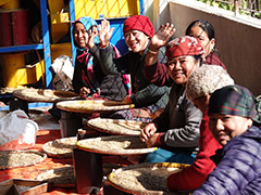 ネパールの女性の雇用機会を支援する「コーヒープロジェクト」