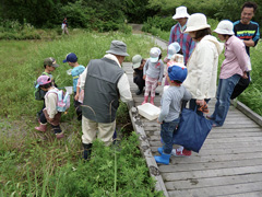 （豪雨災害前）採集した生き物の観察