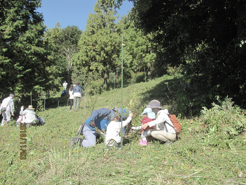 親子のクヌギ植樹祭