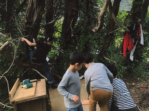 お庭の木にツリーハウスを制作中