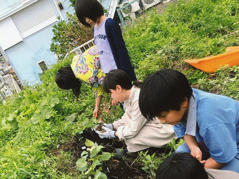 おいも、たくさんできるかな～