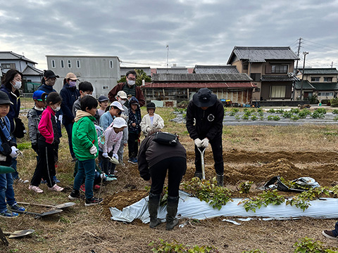 野外イベントのいもほりに行った様子