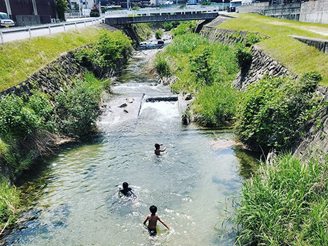 フリースクールの子供たちの川遊び