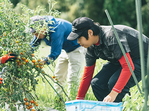 就労サポート事業「農作業」の様子