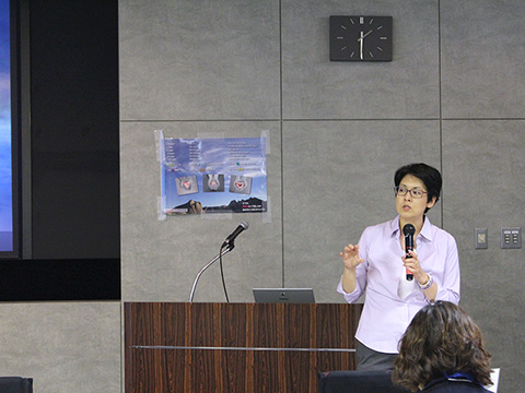 SAFER性暴力被害者支援研修