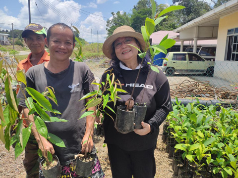 トロピカルフルーツの苗木をサバル地区の先住民族の人から買い付け