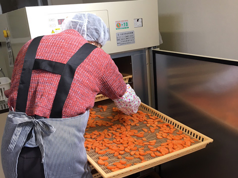 乾燥野菜（人参乾燥機に入れる）