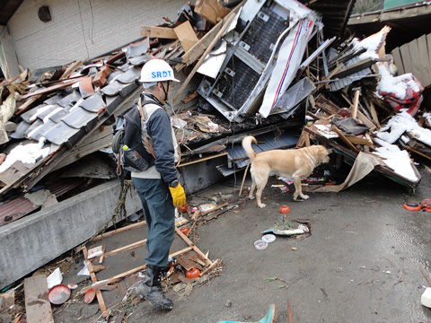 2011年3月18日撮影　東日本大震災の釜石市箱崎町の災害救助犬の行方不明者捜索