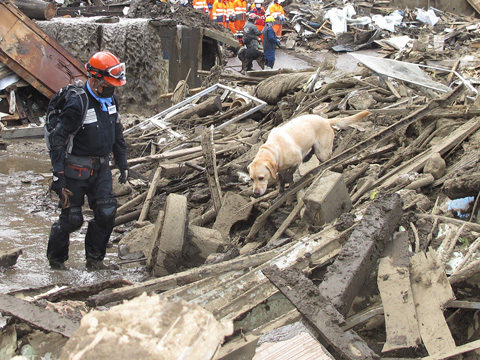 2021年7月10日撮影　静岡県熱海市の土石流災害の行方不明者捜索