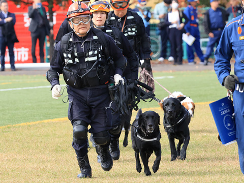 2024年10月　青森県総合防災訓練の現場に向かう災害救助犬