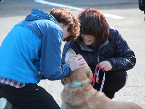 福島県飯舘村から45頭の犬を預かりました