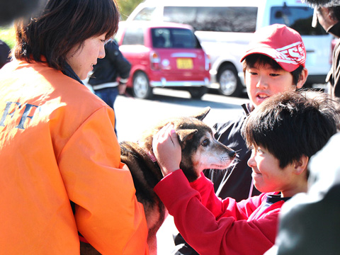 この愛犬は老衰のため当センターにて亡くなりました