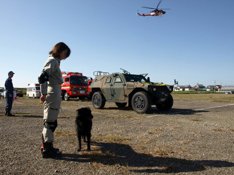 災害救助犬と市町村の防災訓練に毎年参加しています