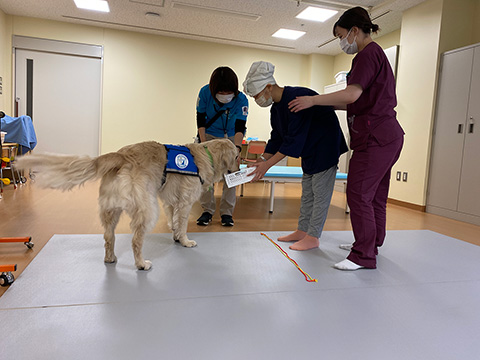 ゲーム感覚でのリハビリ支援