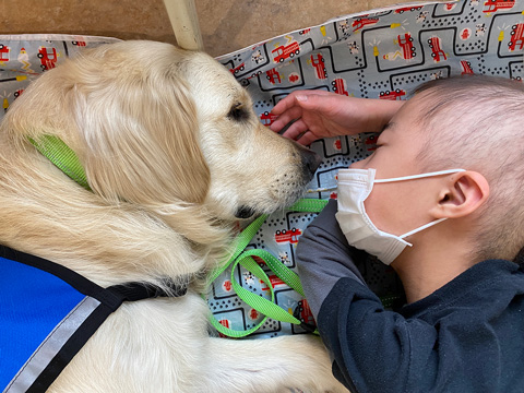 子どもと一緒にお昼寝