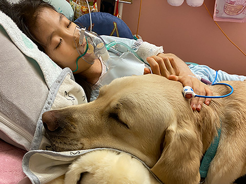 ベッドでの添い寝