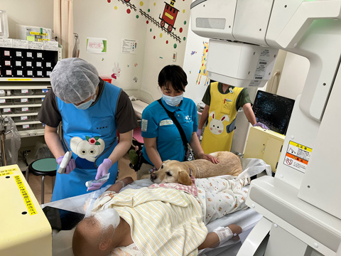 鎮静に寄り添い恐怖心をやわらげる