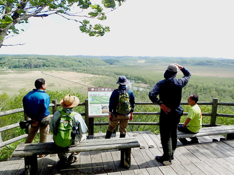 27号地30haを高台から見下ろす