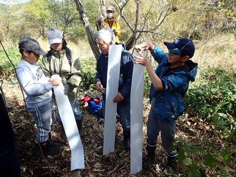 2024年秋の植樹祭「どんぐり記念日」
