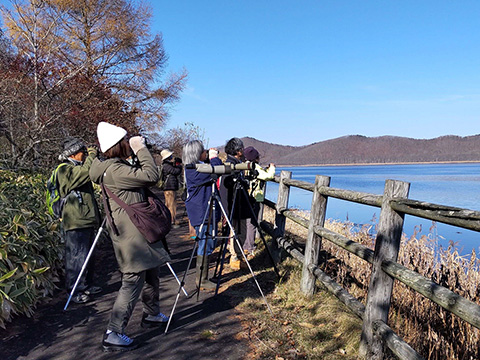 2024年秋の達古武沼水鳥観察会